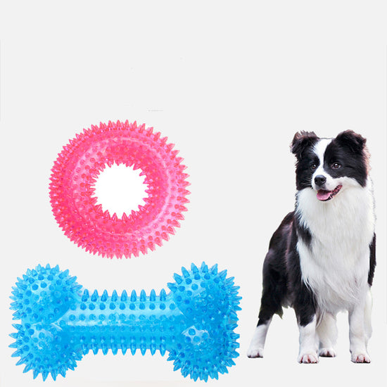 dog chew toy