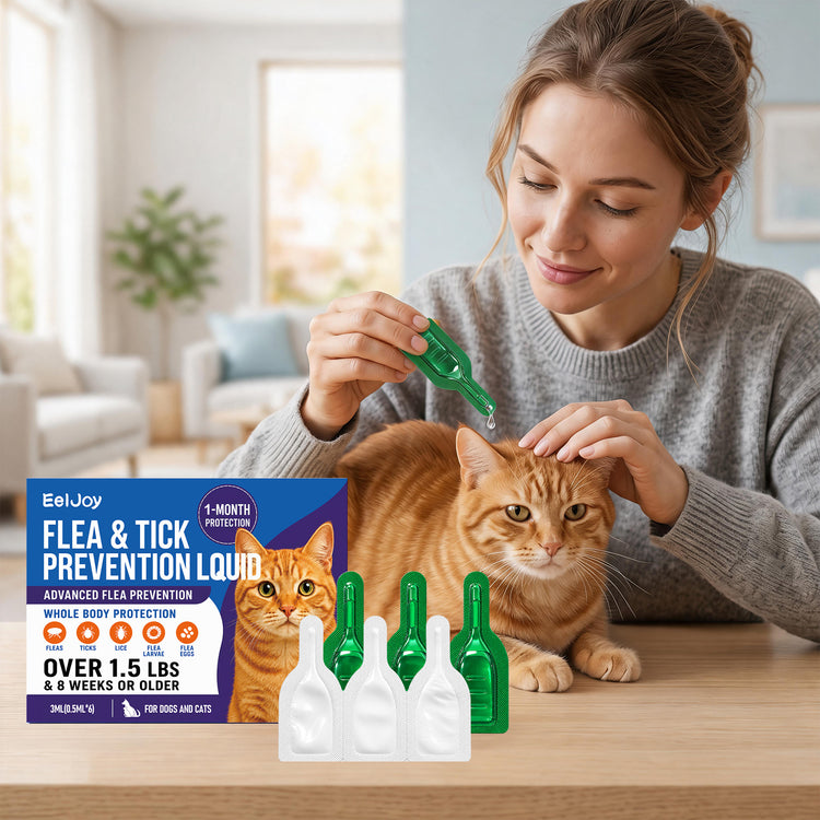Dog Food and Treats for Everyday Pet Nutrition