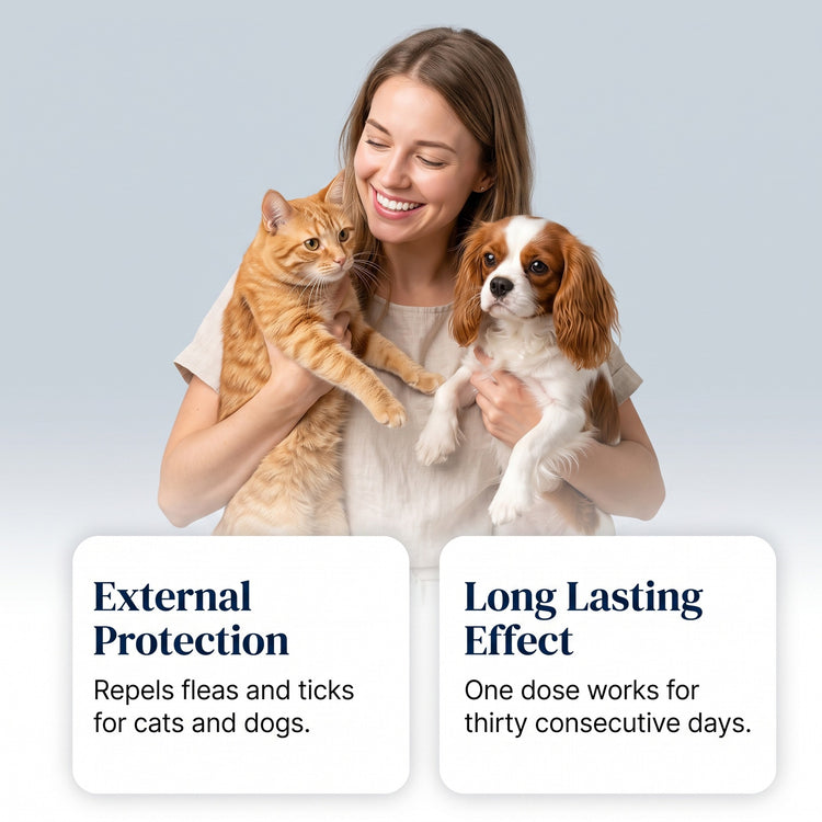 A woman holding an orange tabby cat and a brown-and-white dog against a light gray background, with two white text boxes below reading &