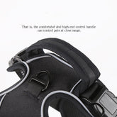 Close-up of a black pet harness with control handle on a white background