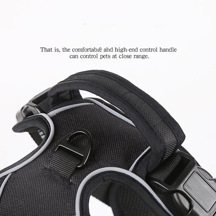 Close-up of a black pet harness with control handle on a white background