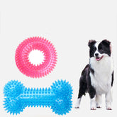 Dog standing next to two dog toys, one pink and one blue, on a white background.