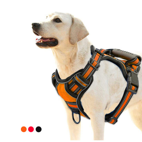 no pull dog harness