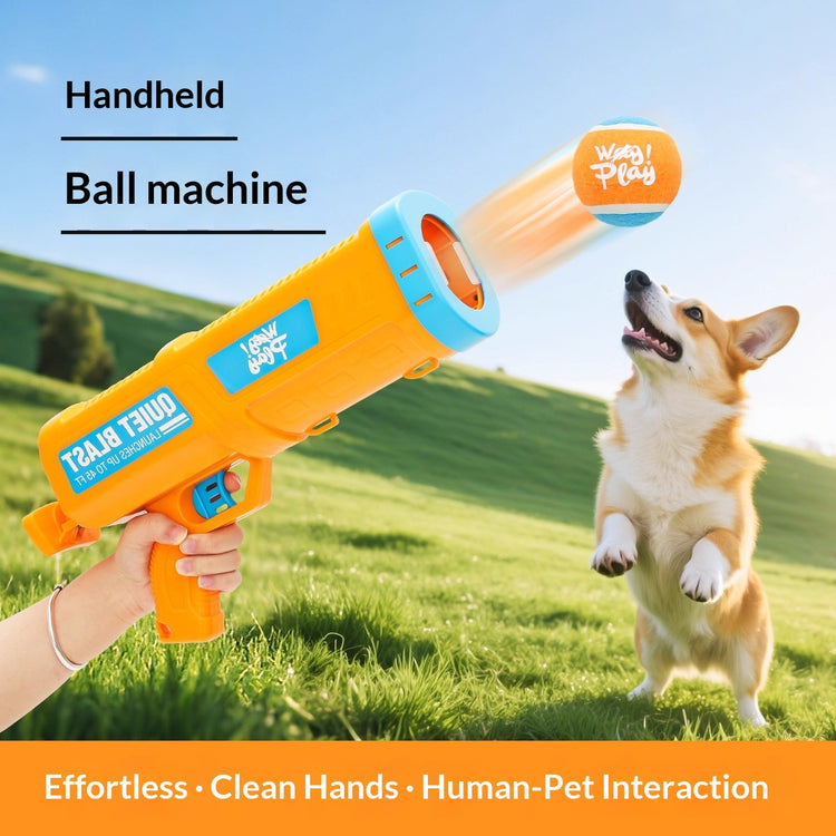 PET ACCESSORIES