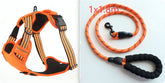 Orange and black dog harness and leash set on a white background