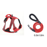 Red dog harness and leash set on a white background