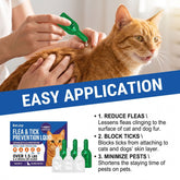An orange tabby cat is shown while a person applies a green liquid from a small dropper-style bottle to the cat&