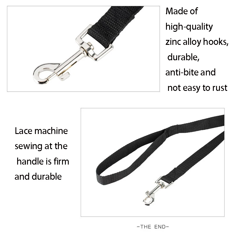 Longer Pet Leashes Rope Outdoor Training Running Dog Leash Belt PP Dogs Lead for Chihuahua Small and Large Dog Product - Image 5