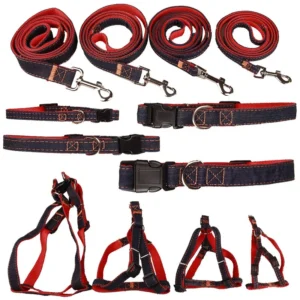 Adjustable 1.2m (4ft) Reinforced Denim Pet Leash Set with Collar & Harness - Soft & Comfortable