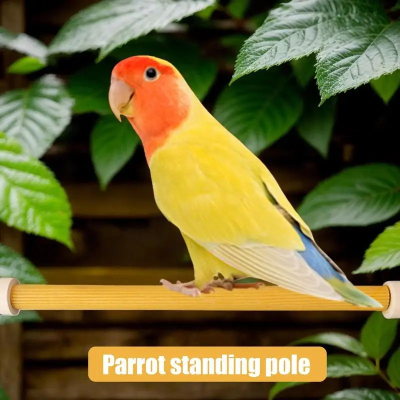 Bird Wood Perch Stand Wooden Natural Bird Perches For Conures Parrot Stand Cage Accessories For Small Or Medium Parrots Conures - Image 5
