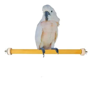 Bird Wood Perch Stand Wooden Natural Bird Perches For Conures Parrot Stand Cage Accessories For Small Or Medium Parrots Conures