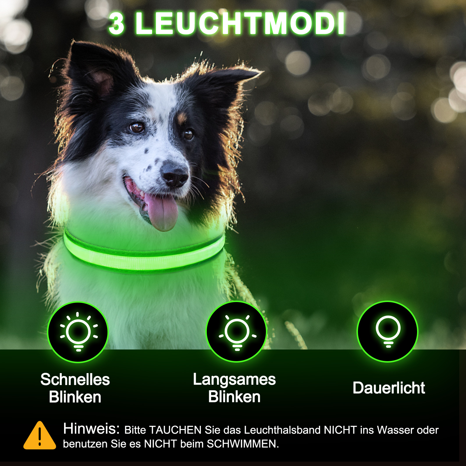 Light Up Dog Collar - Dog Collar Lights For The Dark Night, Adjustable Flashing Dog Collar Rechargeable, LED Dog Collar With 3 Flash Modes For Large, Medium And Small Dogs--Size S - Image 2