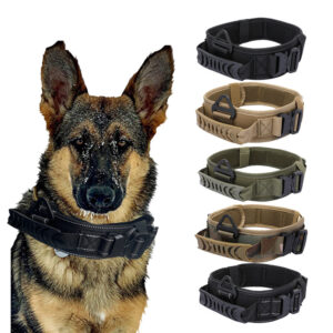 Quick Release Metal Buckle Outdoor Dog Walking Collar