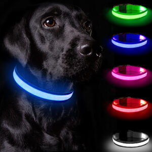 Light Up Dog Collar - Dog Collar Lights For The Dark Night, Adjustable Flashing Dog Collar Rechargeable, LED Dog Collar With 3 Flash Modes For Large, Medium And Small Dogs--Size M